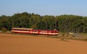 Diesel multiple units and railcars