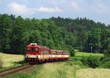 Diesel multiple units and railcars