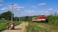 Diesel multiple units and railcars