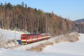 Verbrennungstriebwagen und -züge