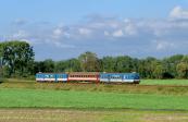 Diesel multiple units and railcars