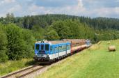 Diesel multiple units and railcars