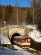 Verbrennungstriebwagen und -züge