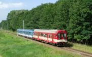 Verbrennungstriebwagen und -züge