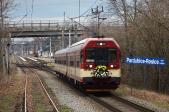 Verbrennungstriebwagen und -züge