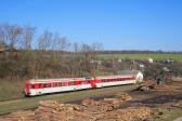 Verbrennungstriebwagen und -züge