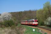 Verbrennungstriebwagen und -züge