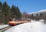 Diesel multiple units and railcars