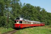 Verbrennungstriebwagen und -züge
