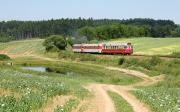Verbrennungstriebwagen und -züge