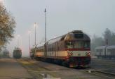 Diesel multiple units and railcars