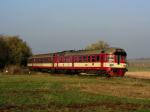 Diesel multiple units and railcars