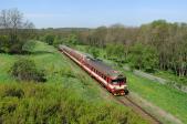 Diesel multiple units and railcars