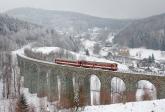 Verbrennungstriebwagen und -züge