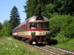 Diesel multiple units and railcars