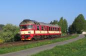 Verbrennungstriebwagen und -züge