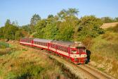 Diesel multiple units and railcars