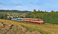 Verbrennungstriebwagen und -züge