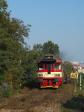Diesel multiple units and railcars