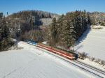 Verbrennungstriebwagen und -züge