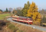 Verbrennungstriebwagen und -züge