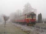 Diesel multiple units and railcars