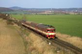 Verbrennungstriebwagen und -züge