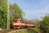 Diesel multiple units and railcars
