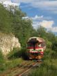 Diesel multiple units and railcars