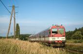 Diesel multiple units and railcars