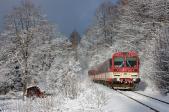 Verbrennungstriebwagen und -züge