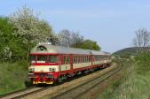 Verbrennungstriebwagen und -züge