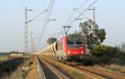 BB36006