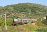 Albánie (AL)
