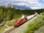 CP 8113
