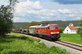 Ausländische Schienenfahrzeuge