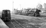 556.0320 + 556.0317 + T 211.0