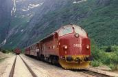 Foreign railway vehicles