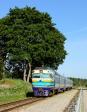 DR1B - 3716