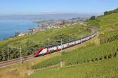 Twindexx Swiss Express