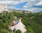 363