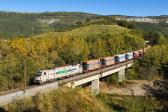 Foreign railway vehicles