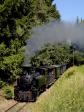 Steam locomotives