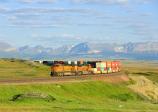 BNSF 5166 + 9395