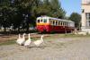 M 262.1002, Bošice, foto: topič
