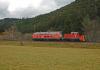 U Titisee 1, foto: Tommy
