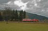 U Titisee 3, foto: Tommy