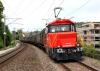Ee 922 001 s 10 vozy Shimmns - Wiesendangen 8.7.2009, foto: Georg Trüb