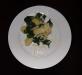 Degustace: Gnocchi se špenátem a parmazánem, foto: Aleš Petrovský