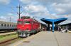 441702, Novi Sad, foto: Dale Cooper